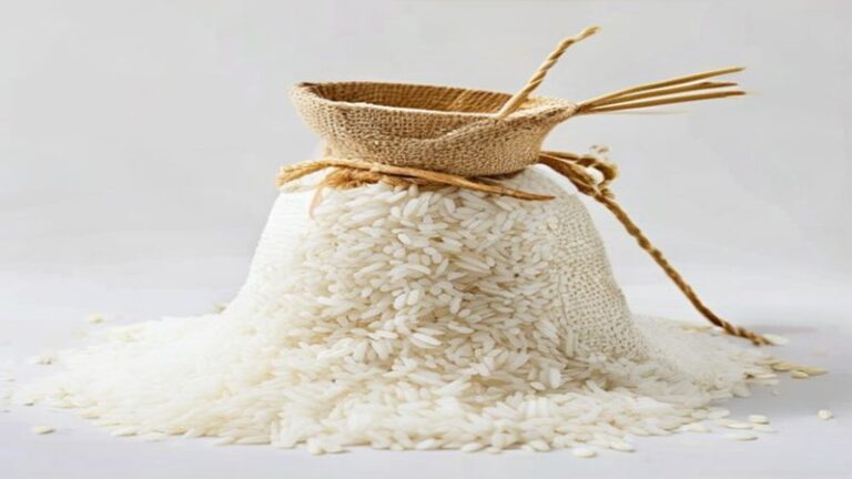 Sembako Grosir Tegal: Harga Distributor Beras, Minyak, Gula & Bahan Pokok HORECA
